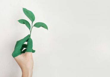 personal development