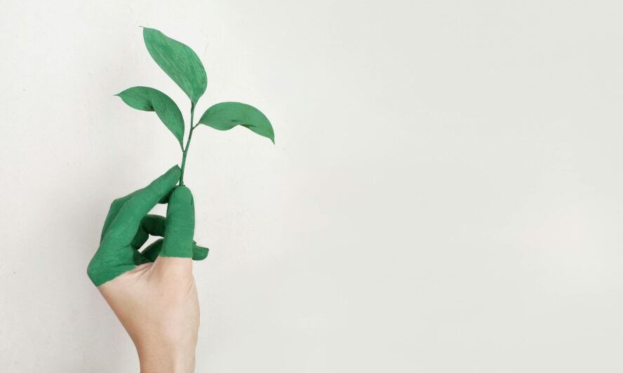 personal development