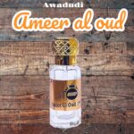 Ameer Al oud